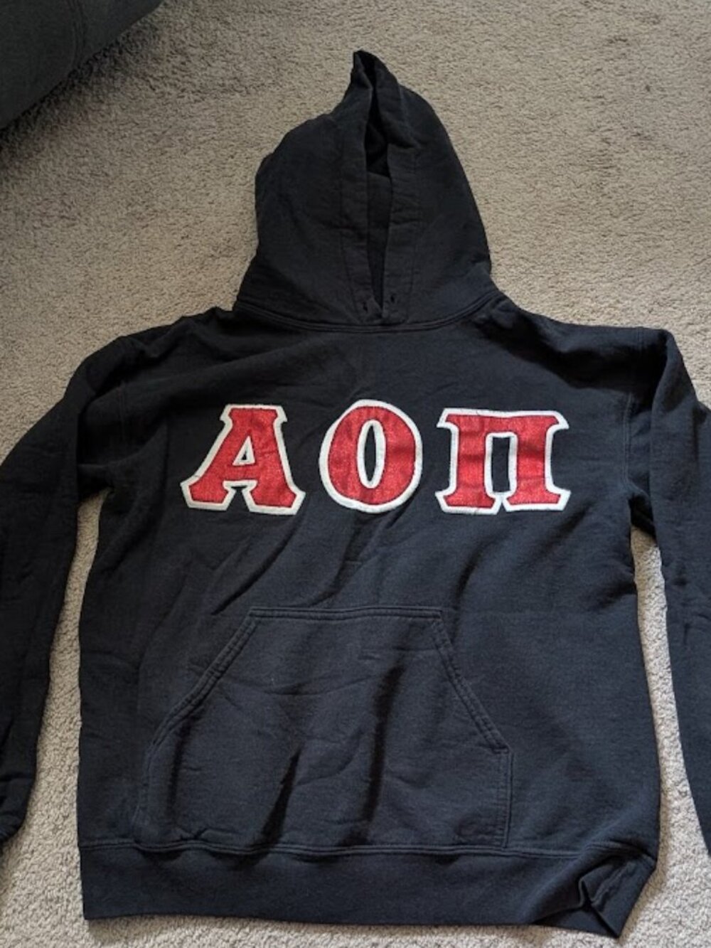 Alpha Omicron Pi (AOII) Sorority Hoodie – Size Small